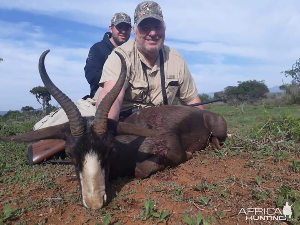 Black Springbok 2019