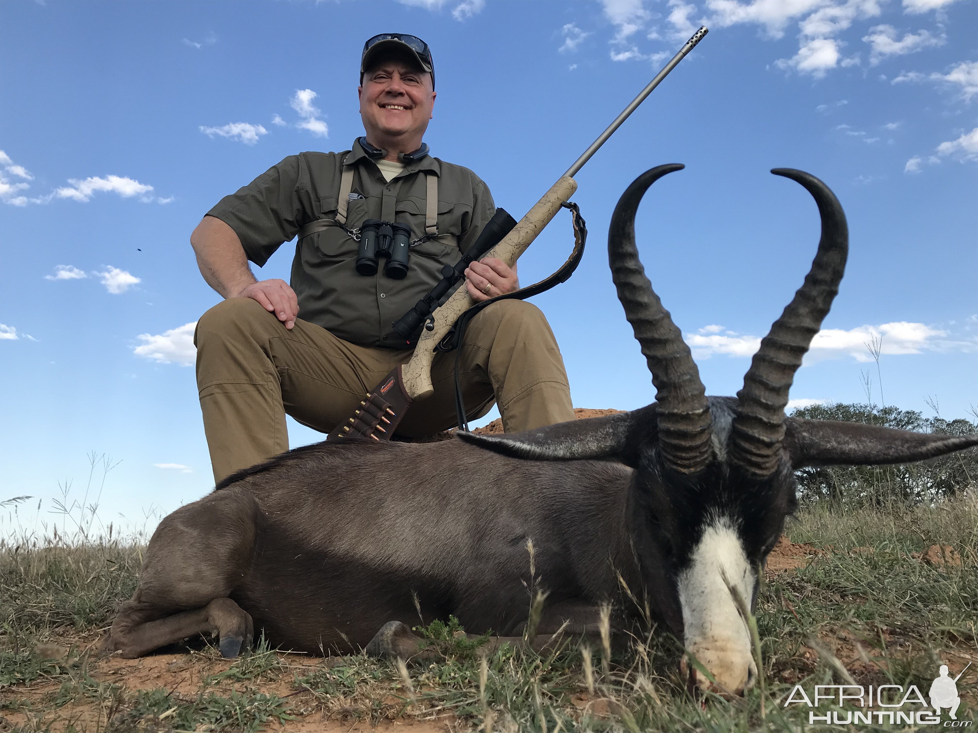 Black Springbok Eastern Cape South Africa