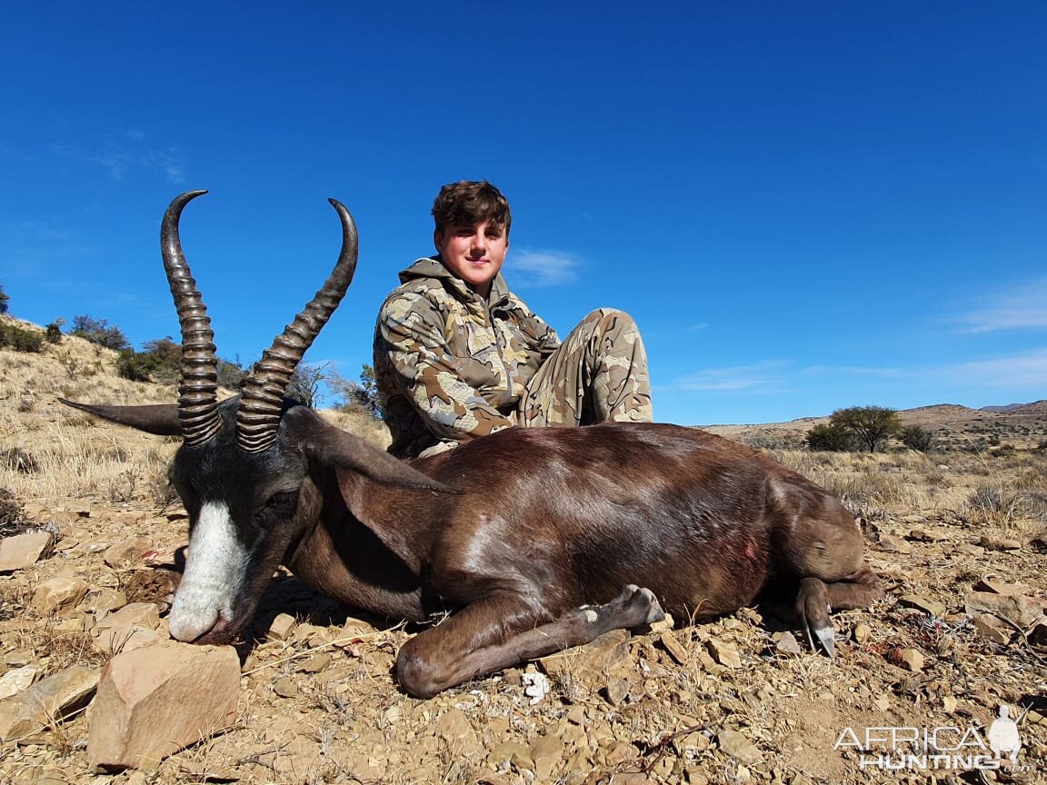 Black Springbok Hunt Eastern Cape South Africa