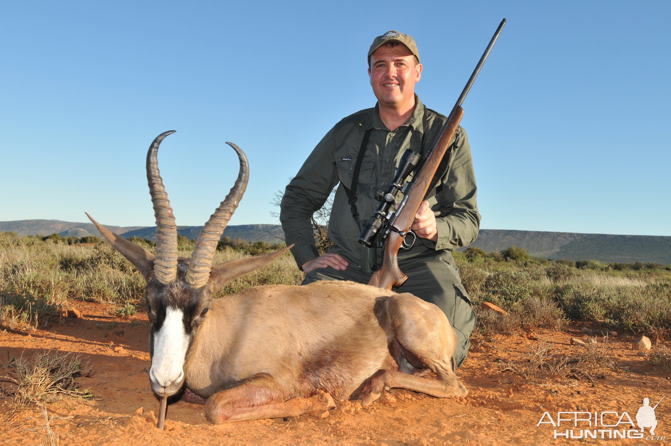 Black Springbok Hunt Karoo South Africa