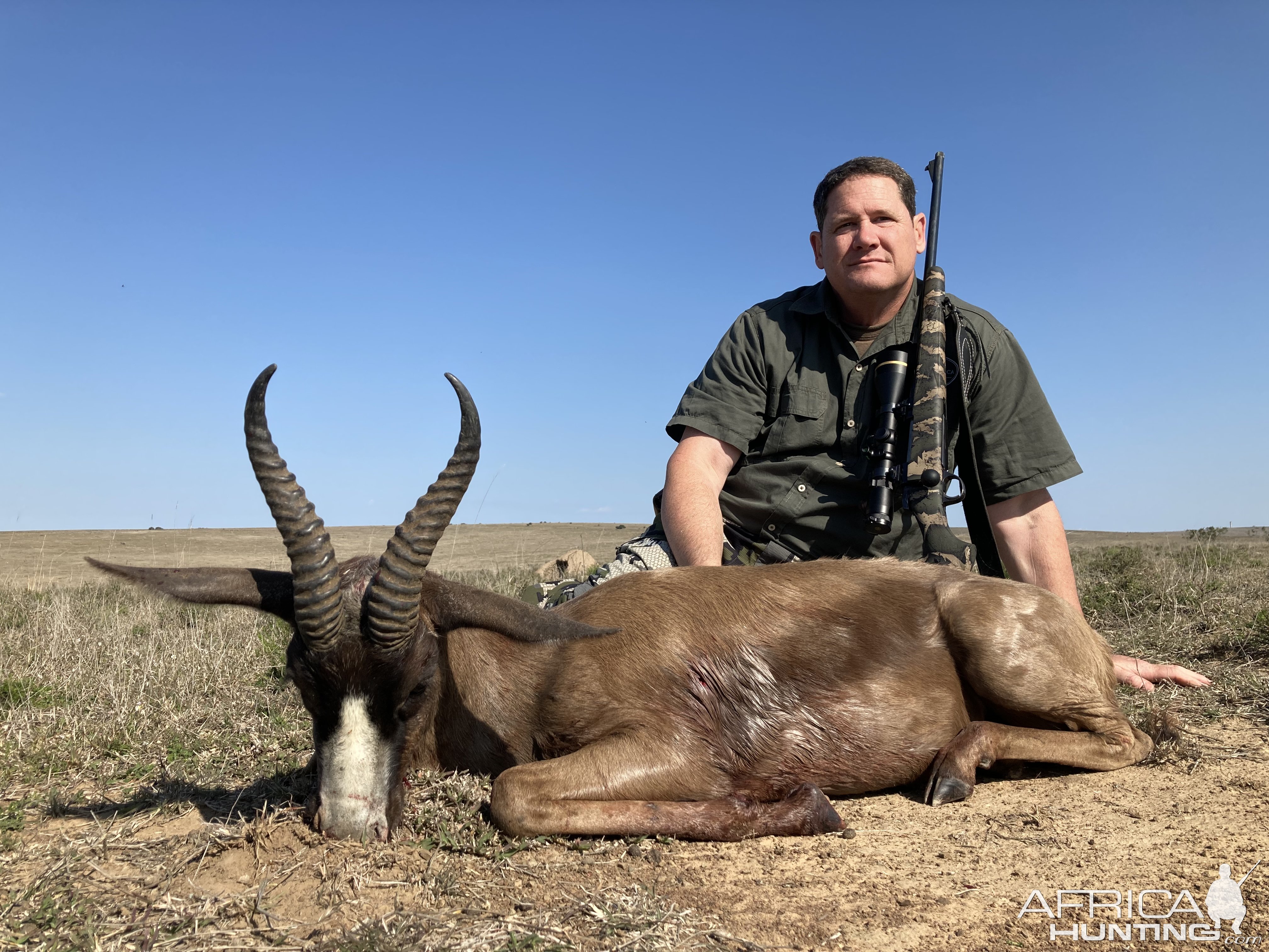 Black Springbok Hunt South Africa