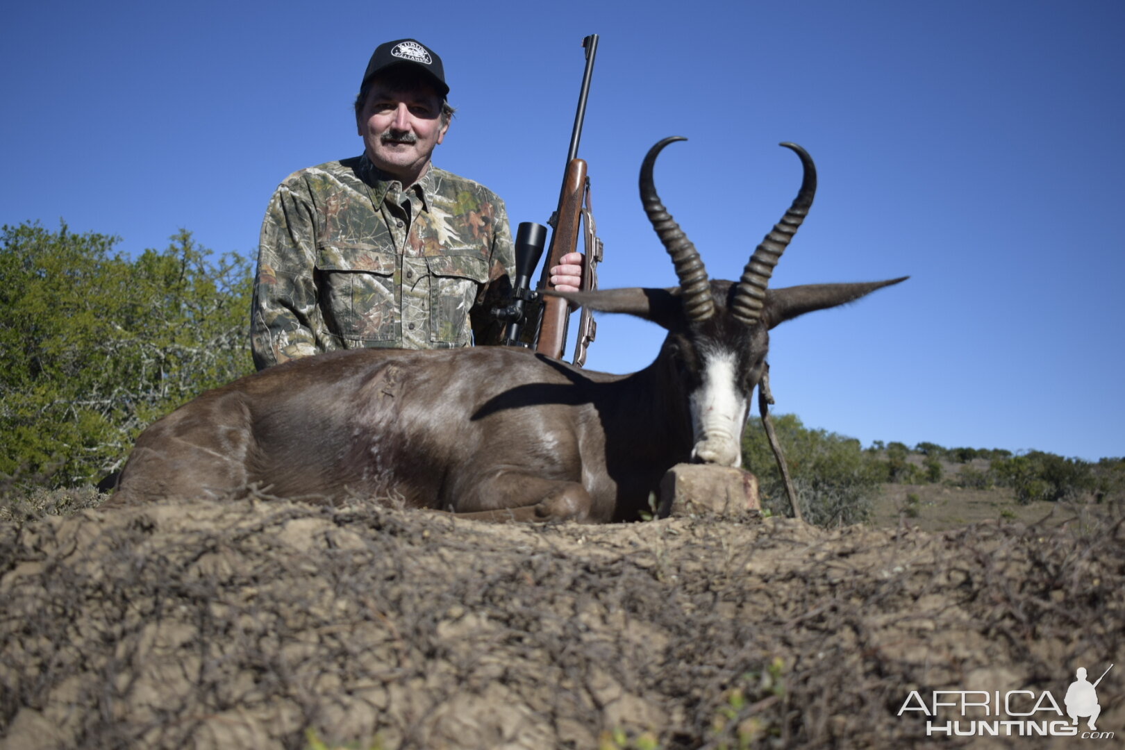 Black Springbok Hunt South Africa