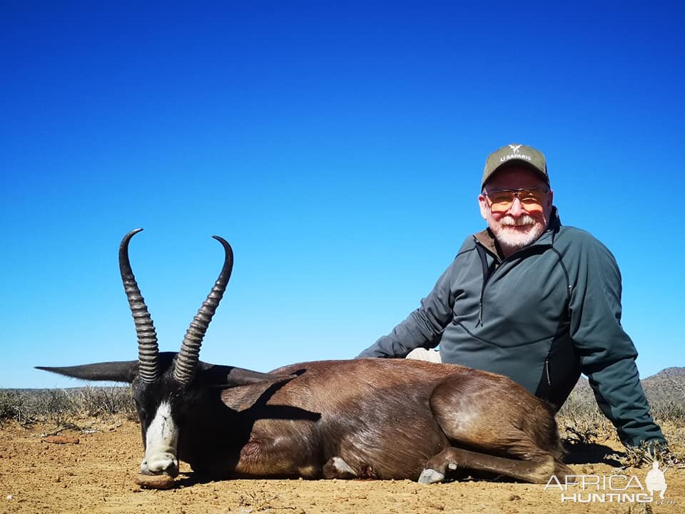 Black Springbok Hunt South Africa