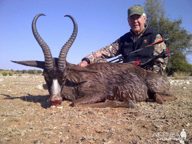 Black Springbok hunt with Wintershoek Johnny Vivier Safaris