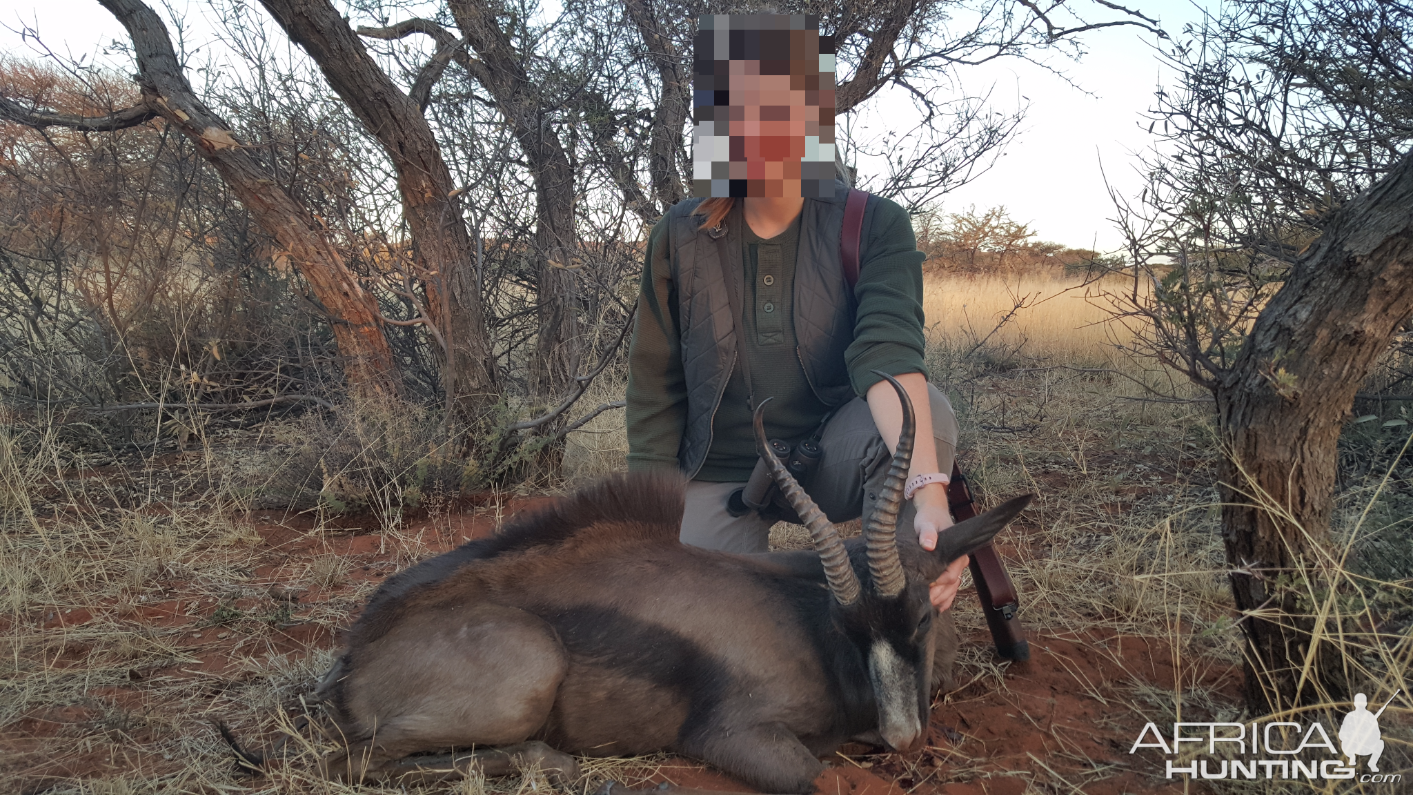 Black Springbok Hunt