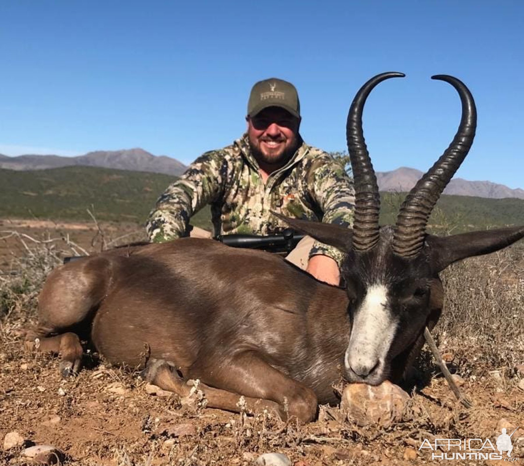 Black Springbok Hunting Eastern Cape South Africa