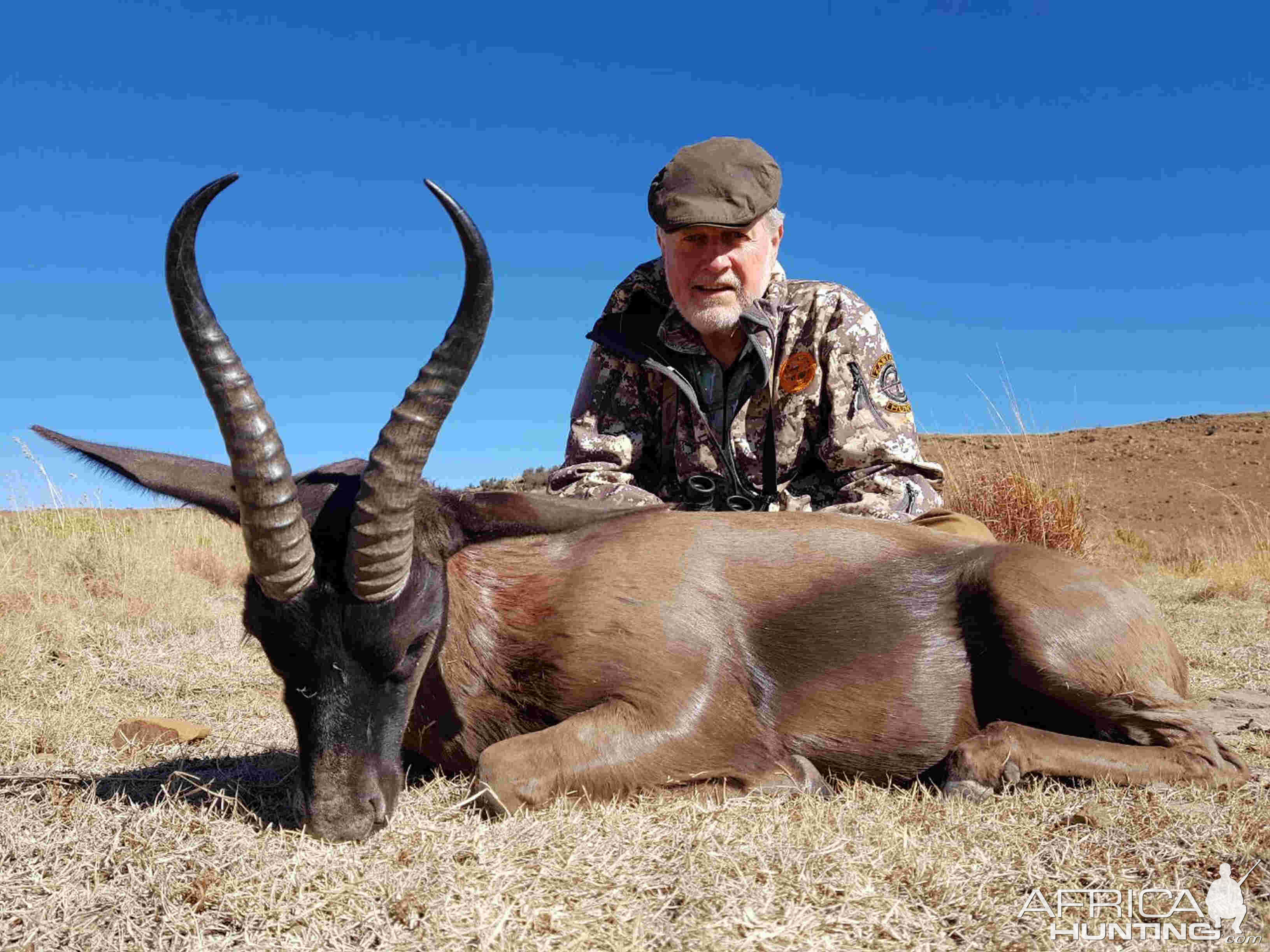 Black Springbok Hunting in South Africa