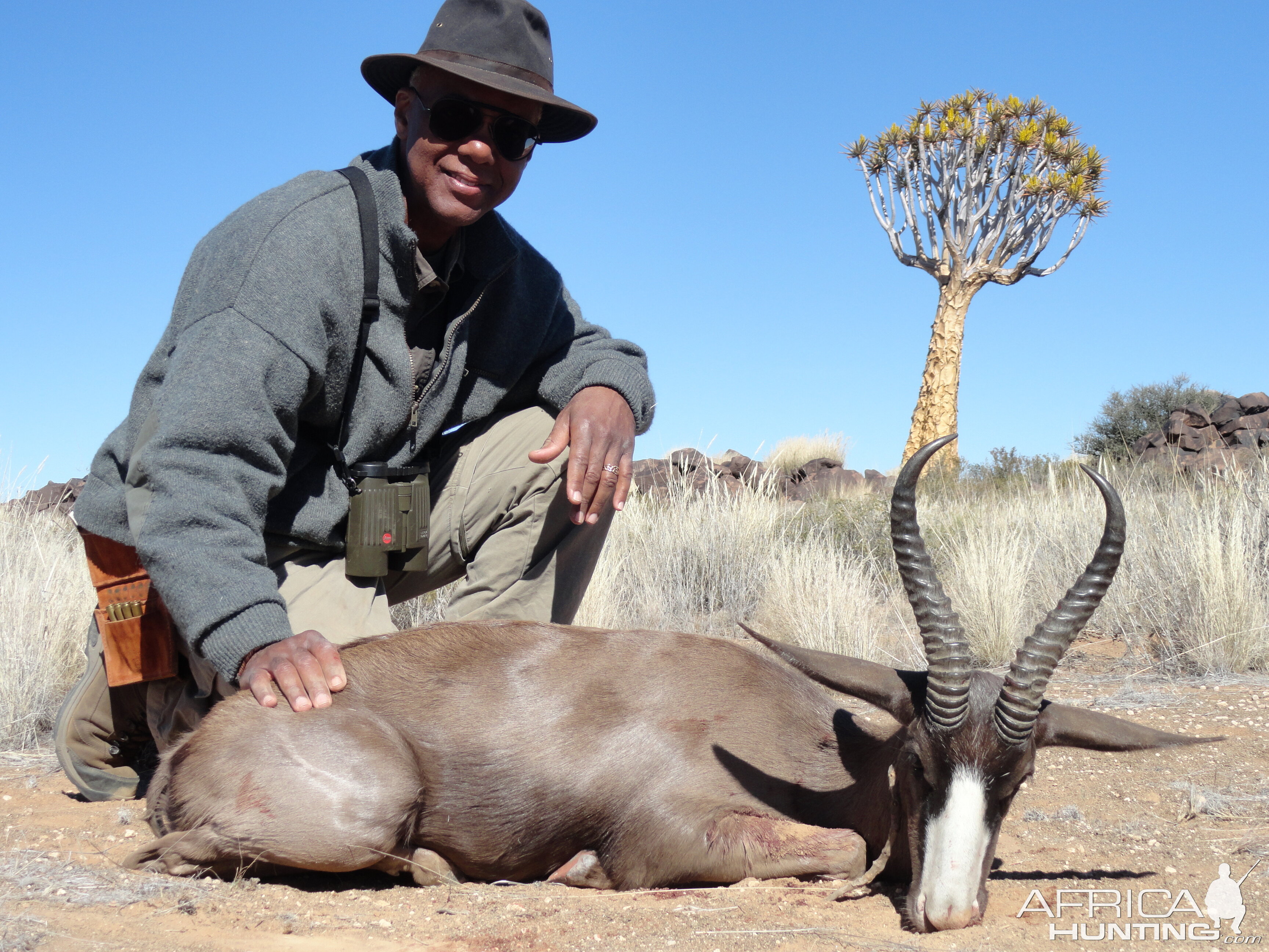 Black Springbok Hunting Namibia