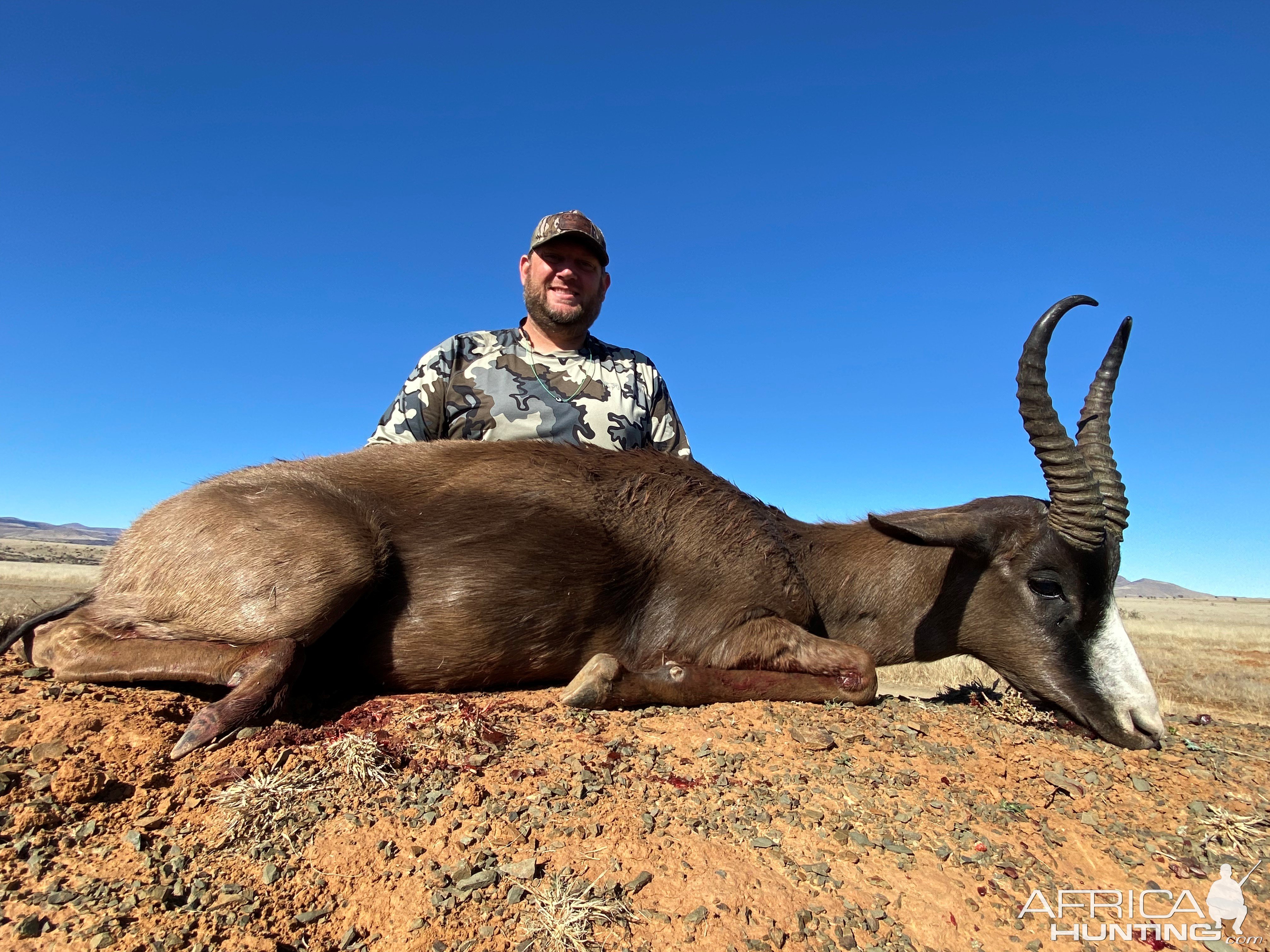 Black Springbok Hunting South Africa