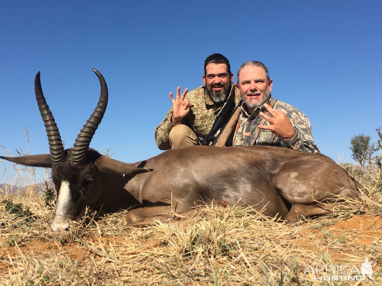 Black Springbok Hunting South Africa