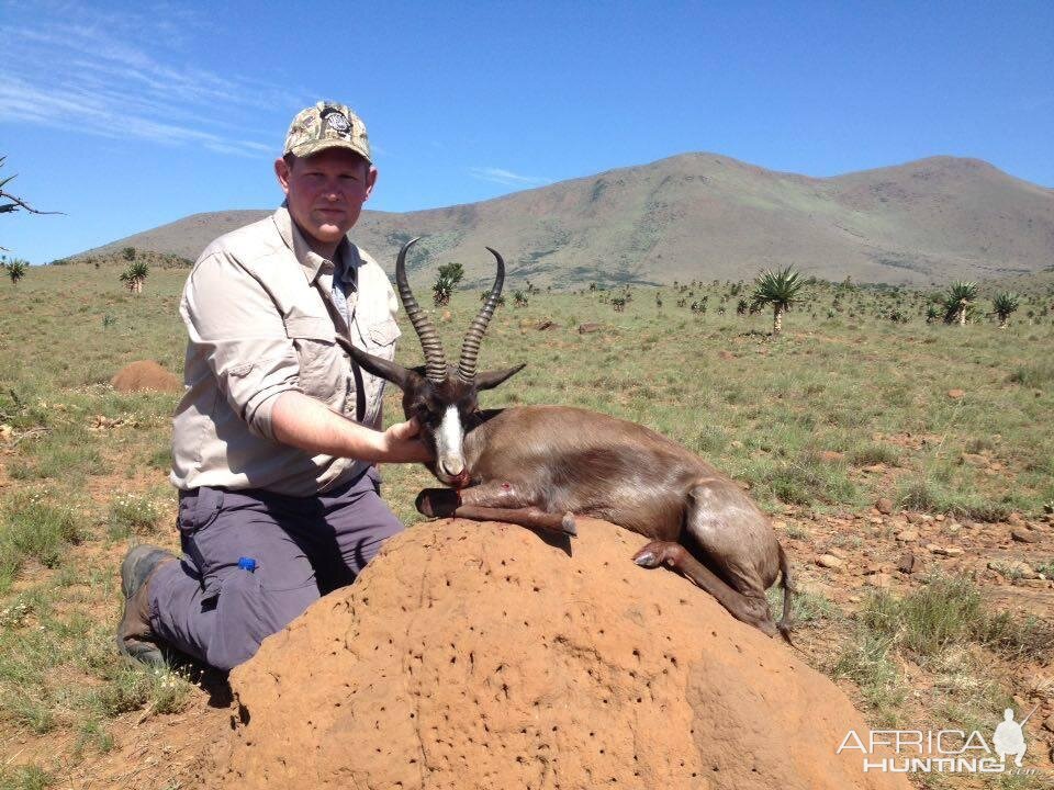 Black Springbok Hunting South Africa