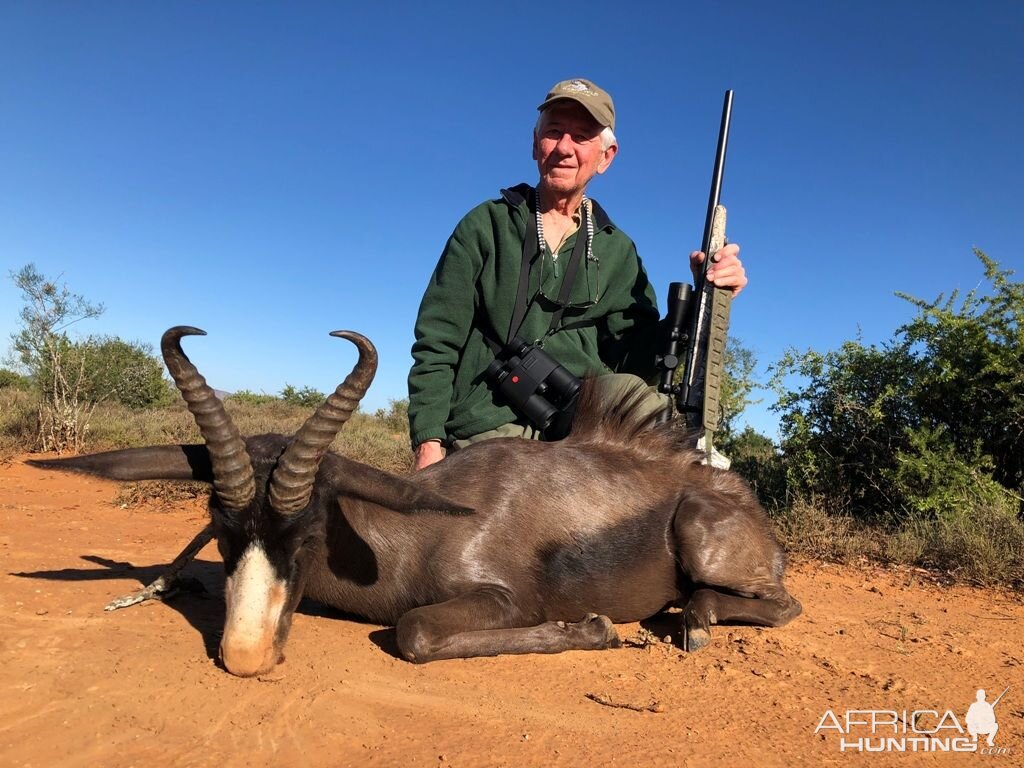 Black Springbok Hunting South Africa