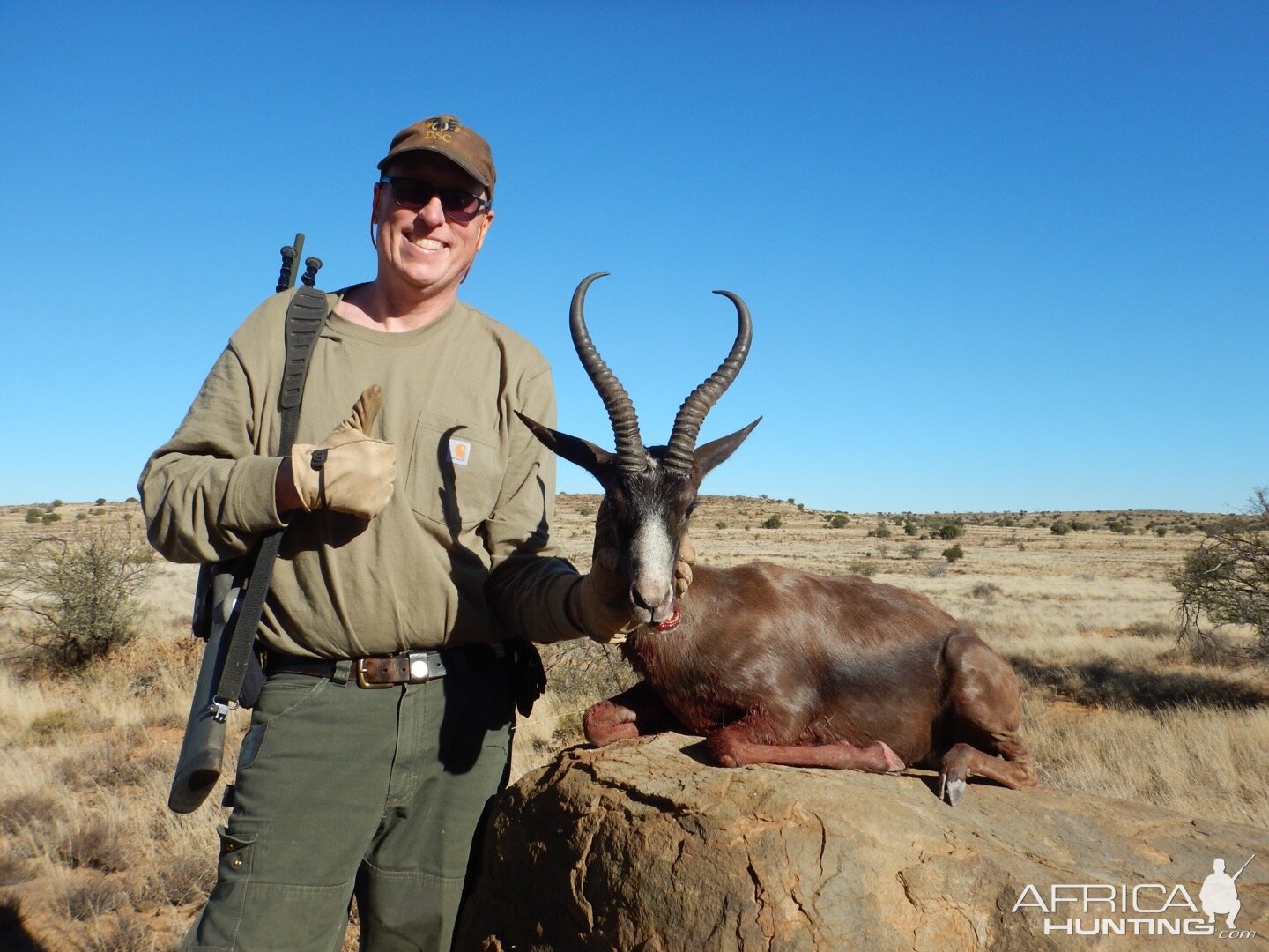 Black Springbok South Africa Hunt