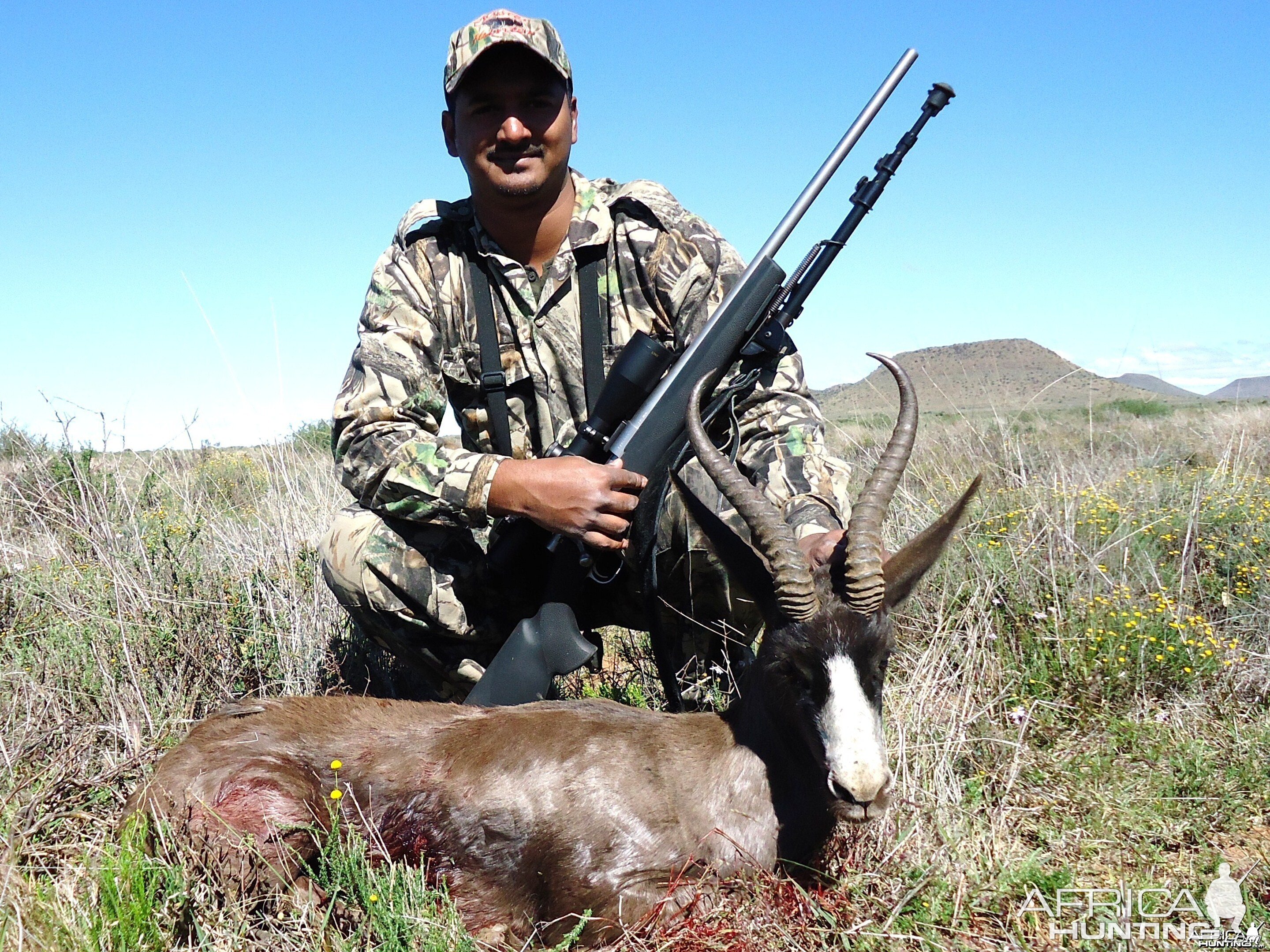 Black Springbok