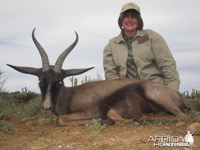 Black Springbok