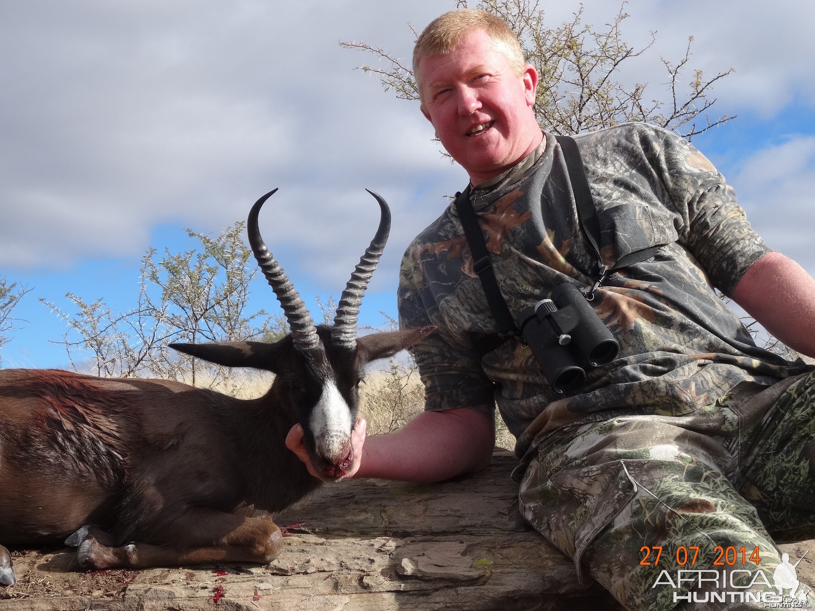 Black Springbok