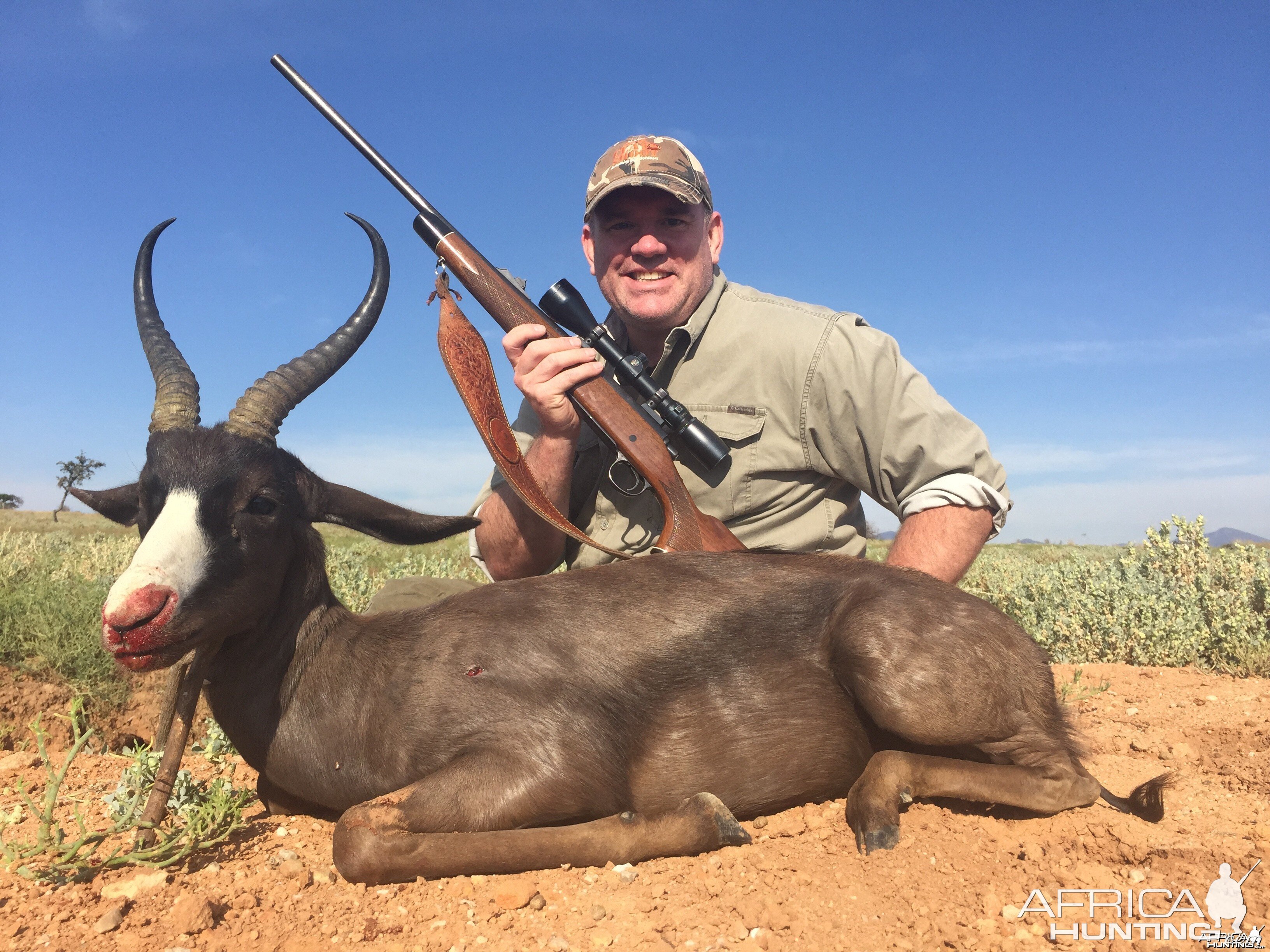 black springbok