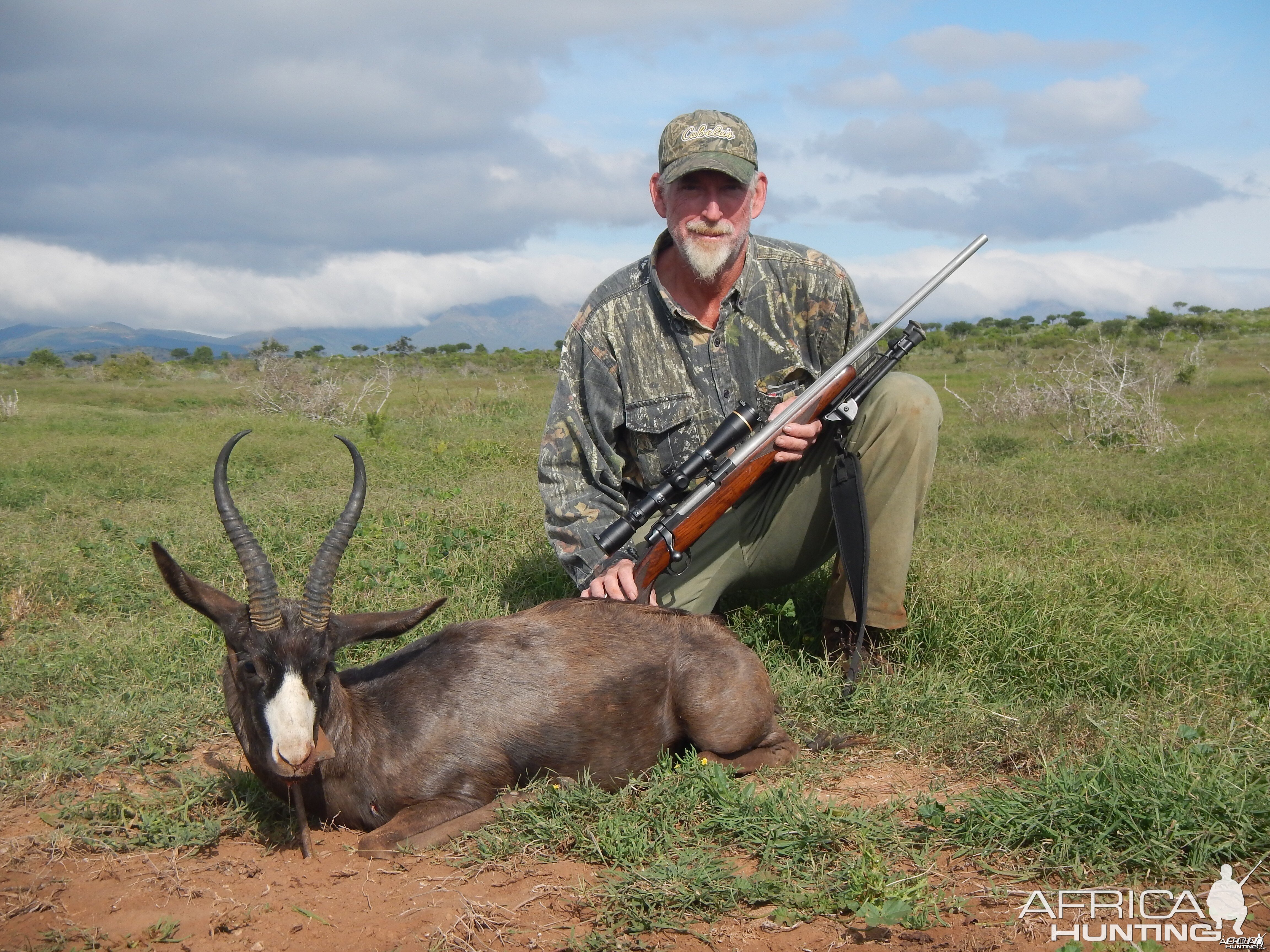 Black Springbok