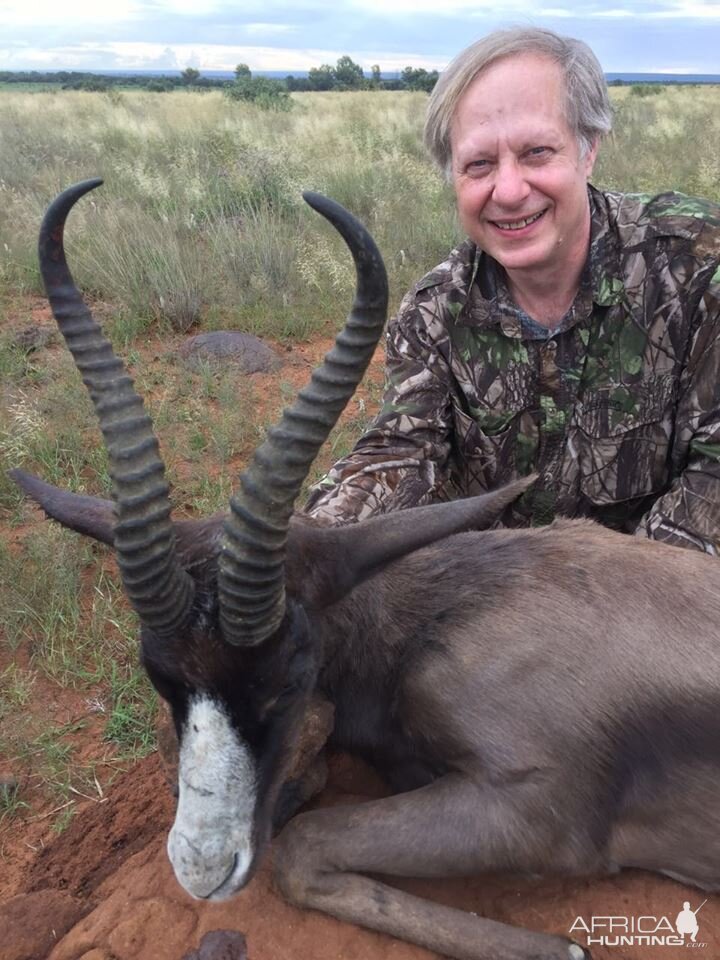 Black springbuck South Africa Hunting