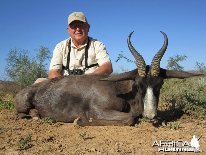 Black Springbuck