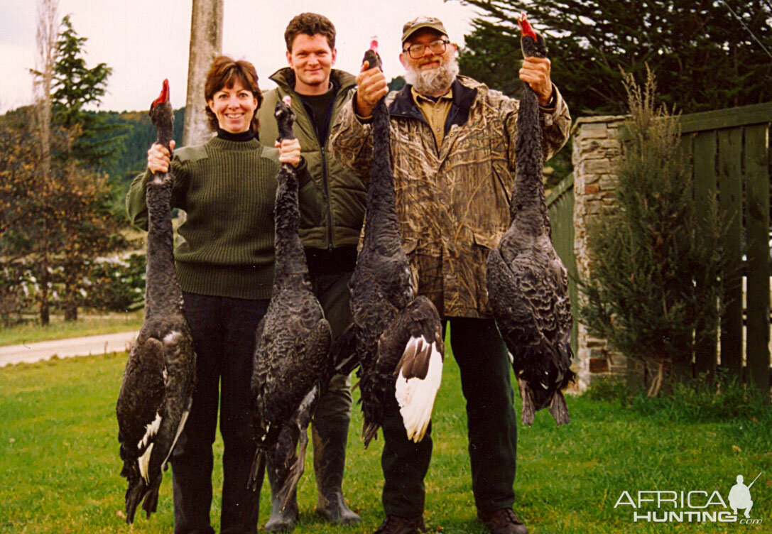 Black Swans '04 - New Zealand