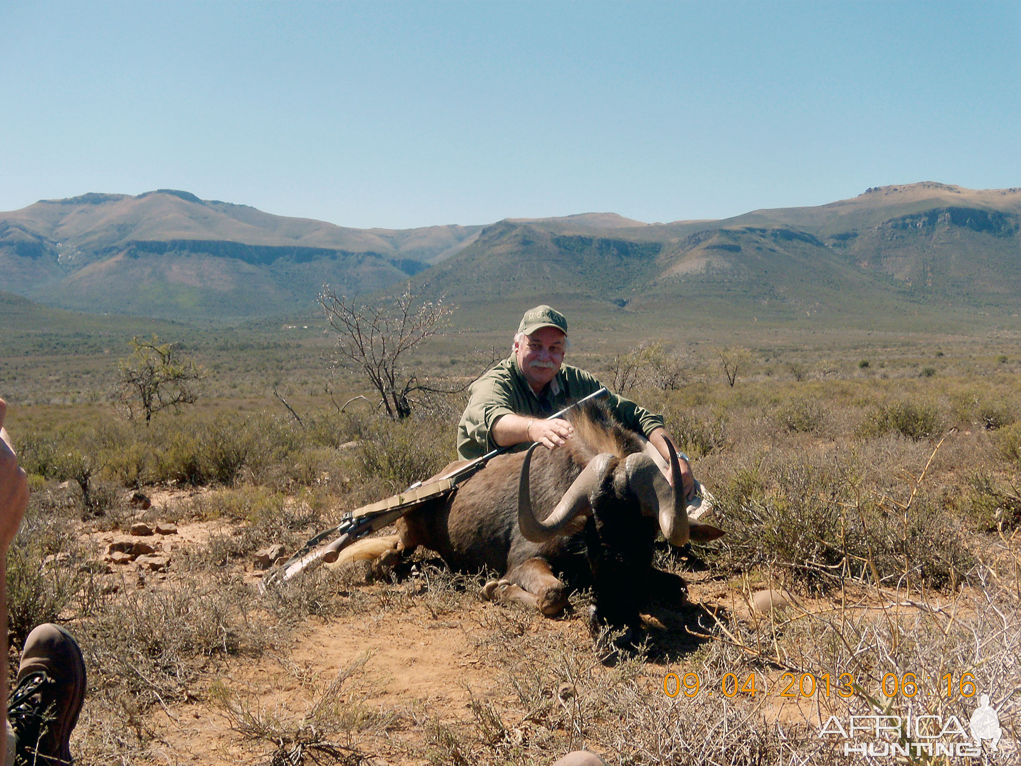 Black Wildebeest 3 for the books