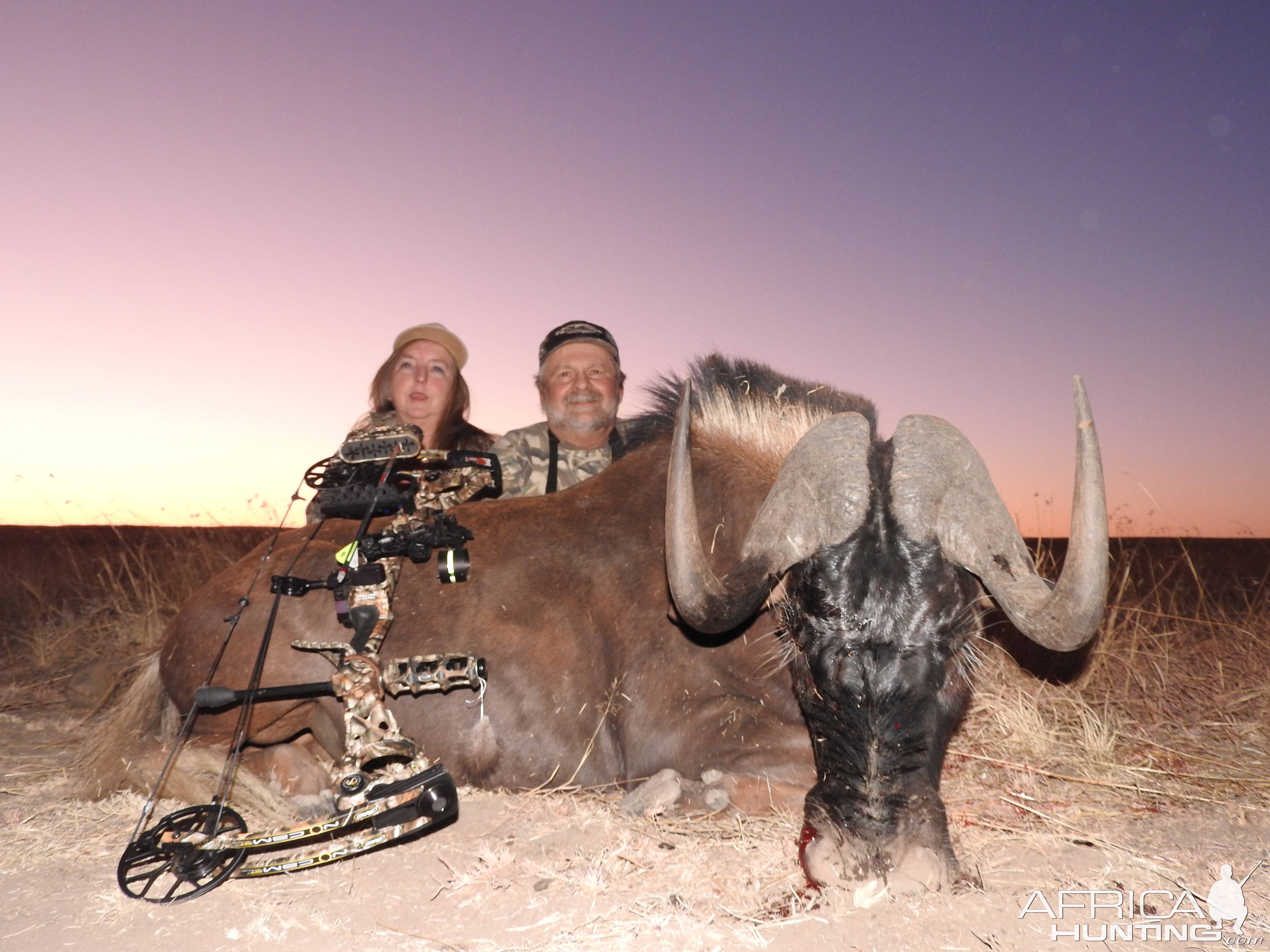 Black Wildebeest Bow Hunting in South Africa