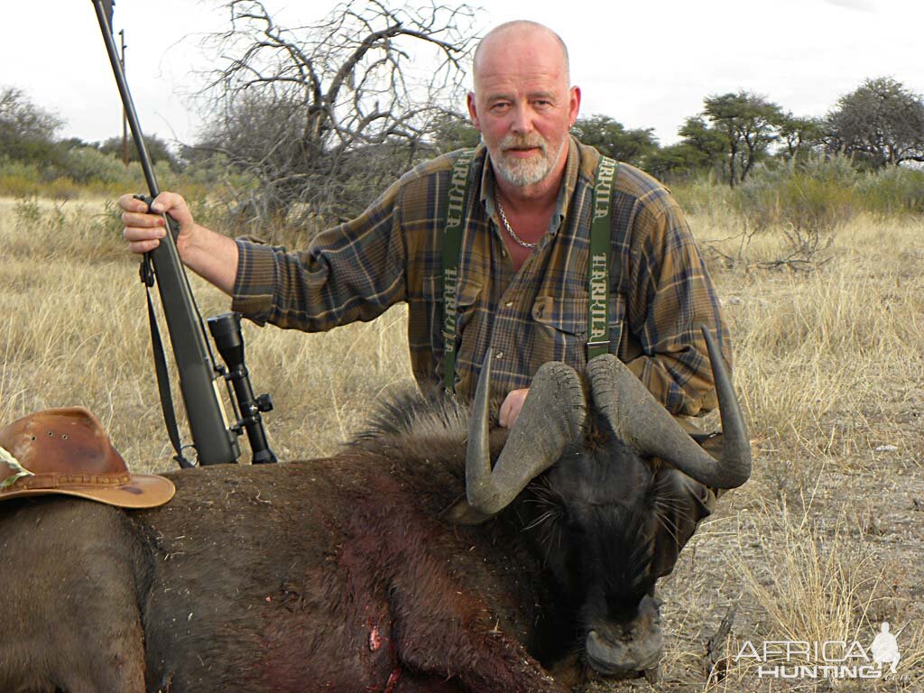 Black Wildebeest Bull - Kataneno