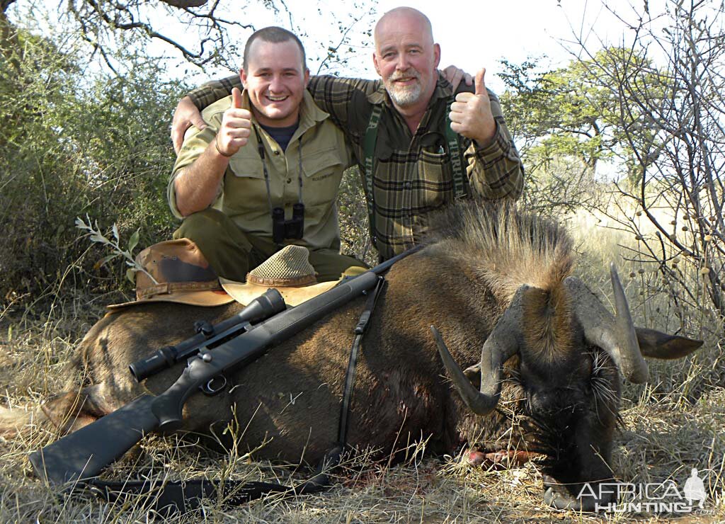 Black Wildebeest Cow - Kataneno