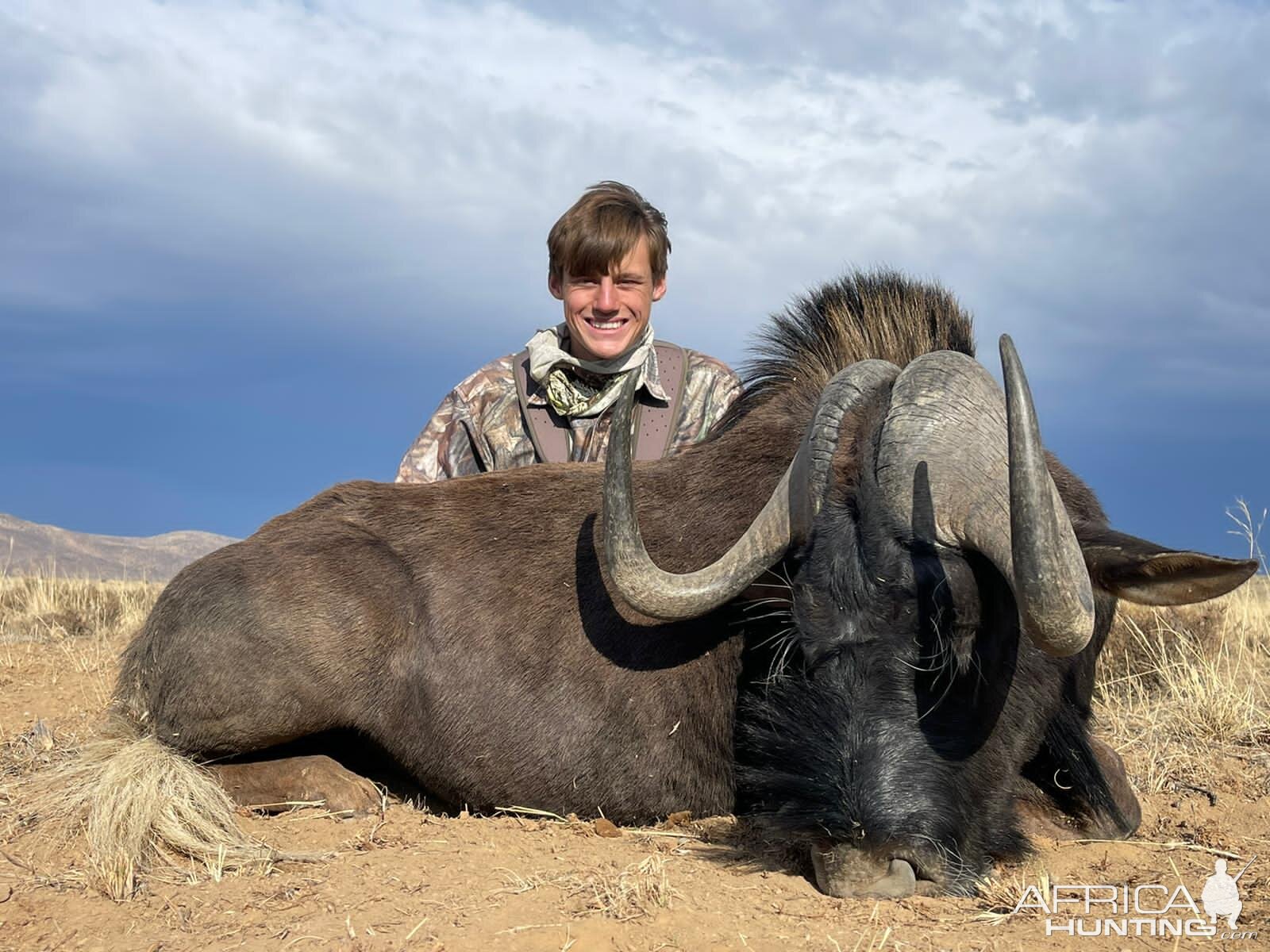 Black Wildebeest Hunt Eastern Cape South Africa