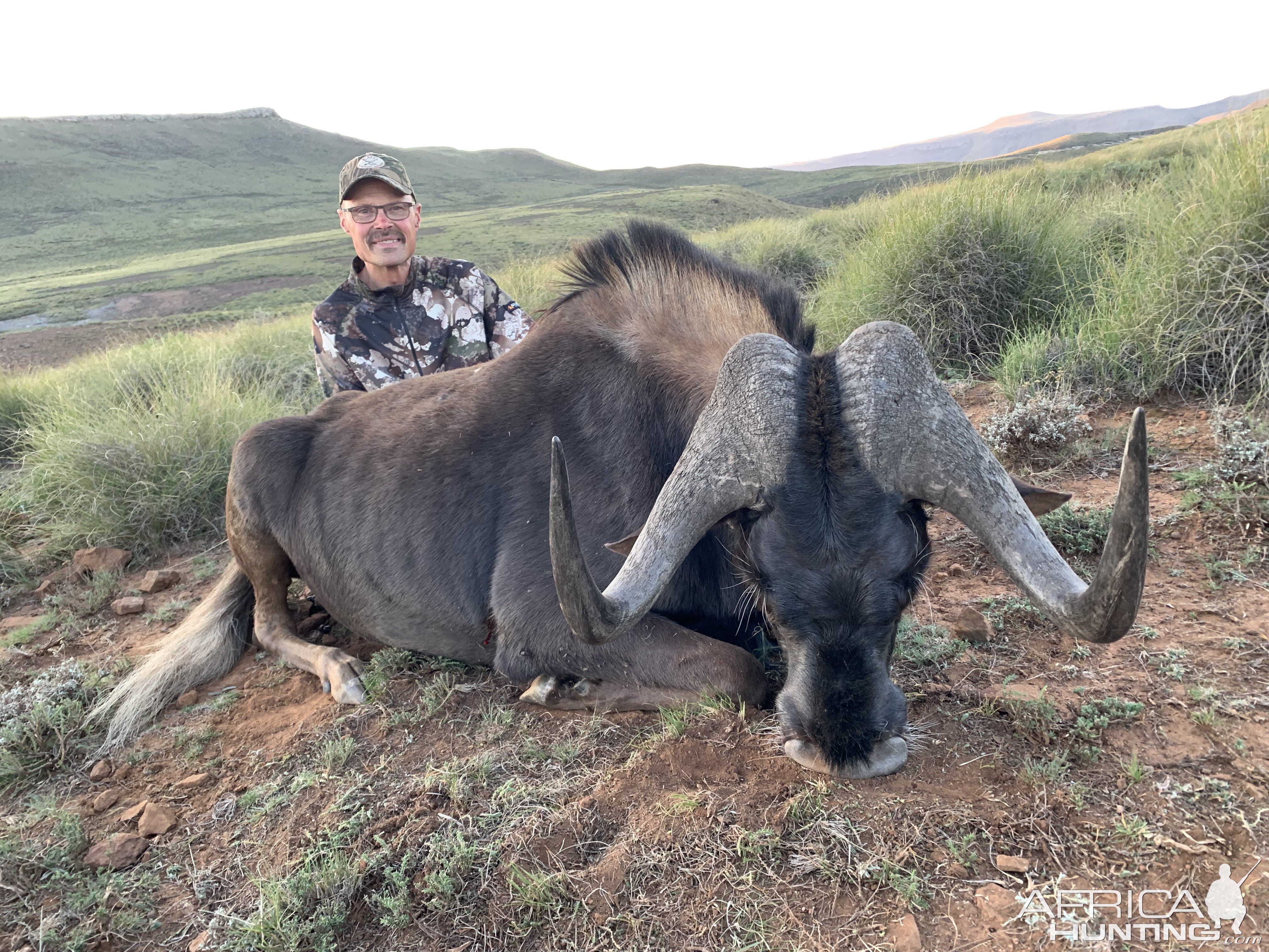 Black WIldebeest Hunt Eastern Cape South Africa