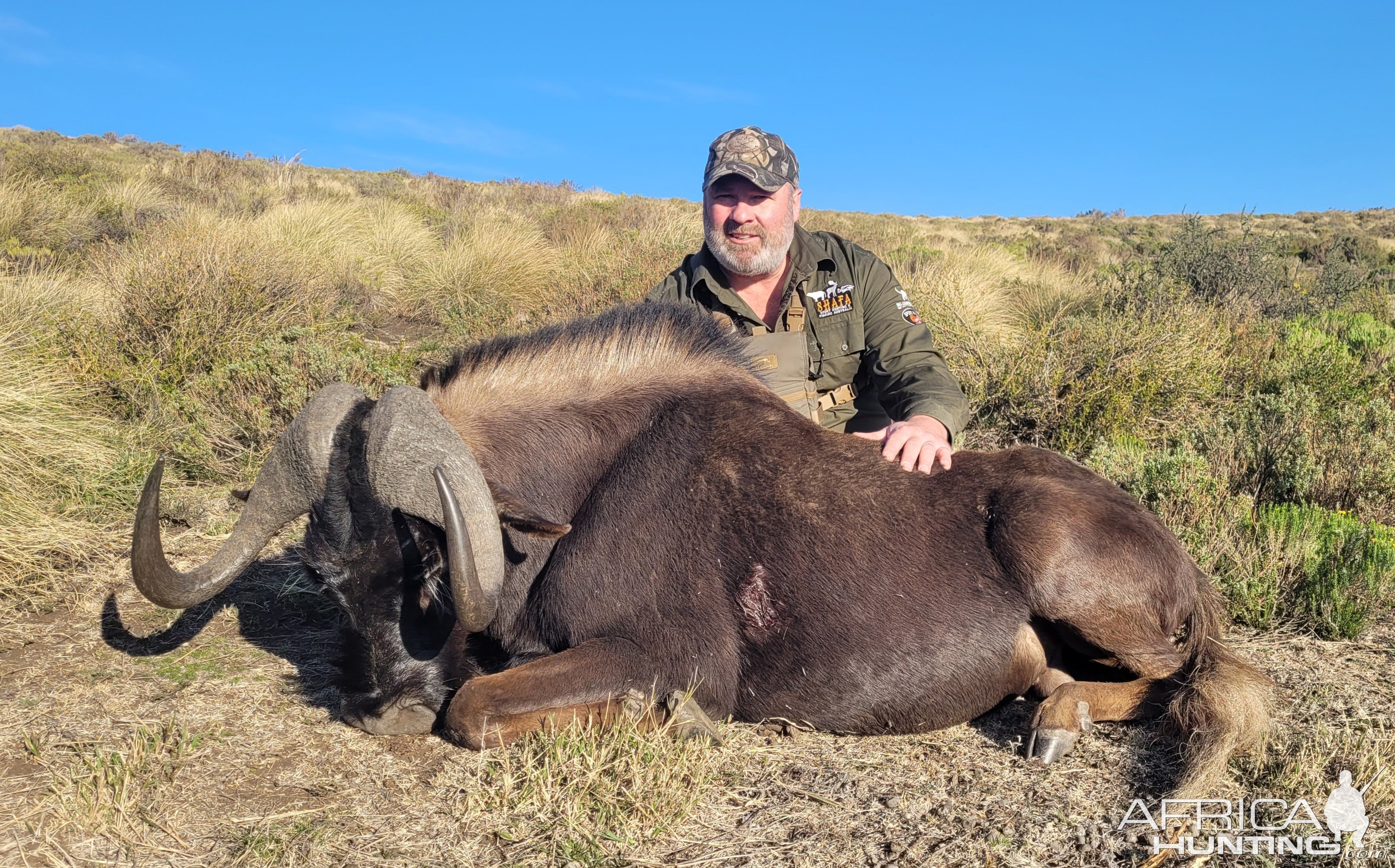 Black Wildebeest Hunt Eastern Cape South Africa