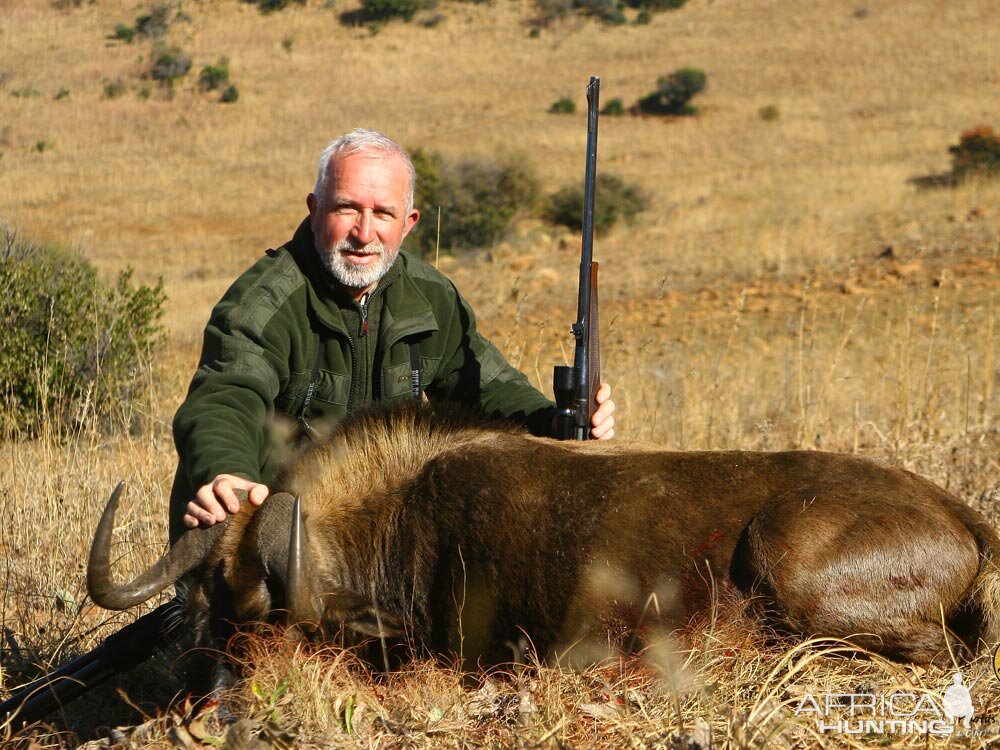 Black Wildebeest Hunt in South Africa