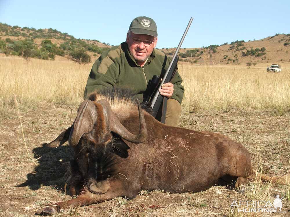 Black Wildebeest Hunt in South Africa