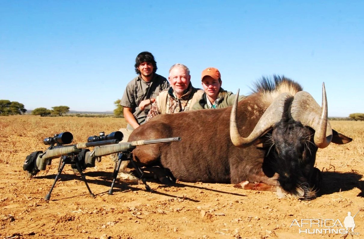 Black Wildebeest Hunt Limpopo South Africa