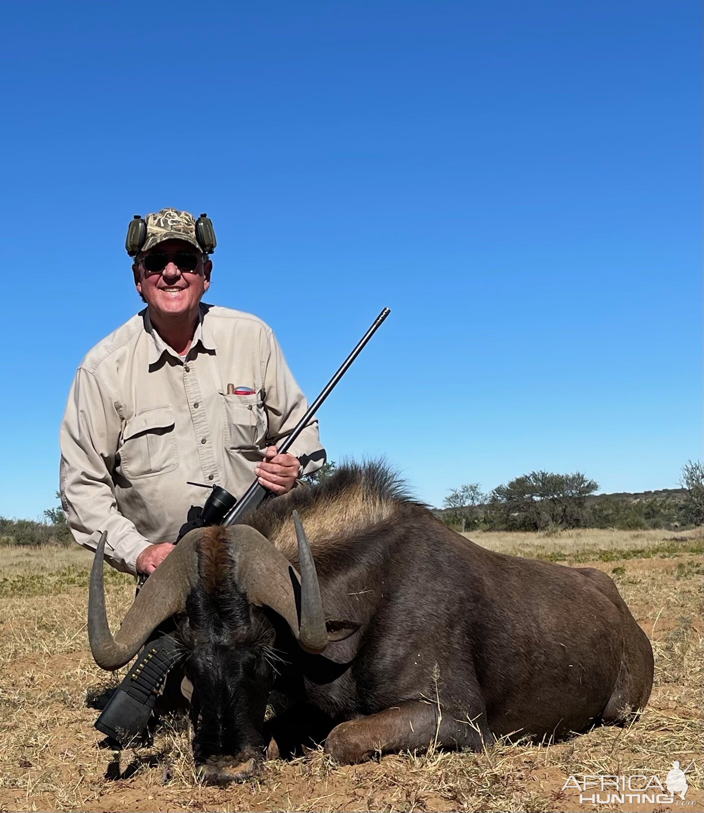 Black Wildebeest Hunt Namibia