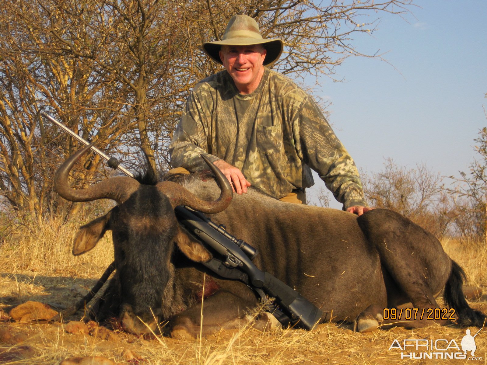 Black Wildebeest Hunt Namibia