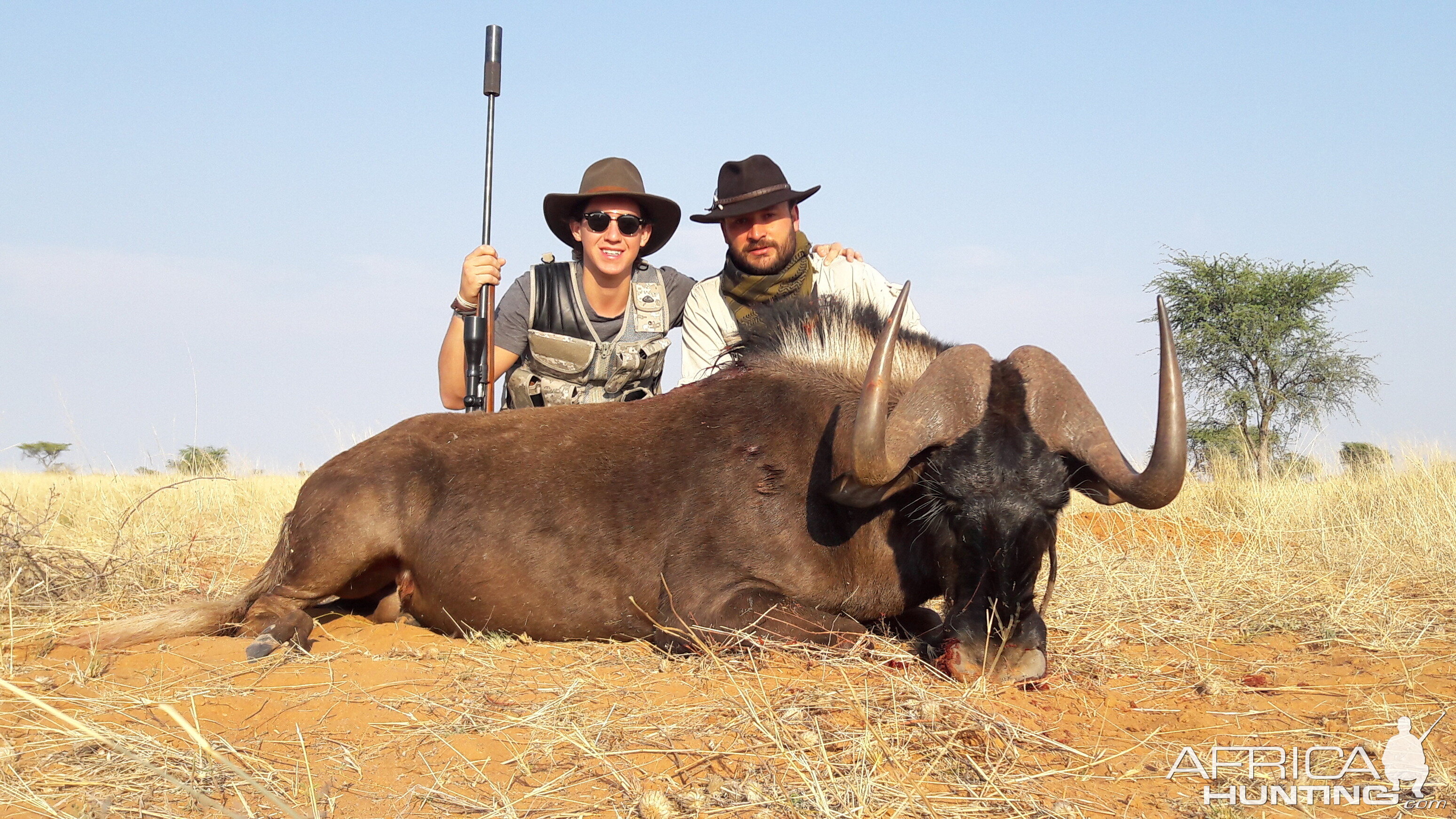 Black Wildebeest Hunt Namibia