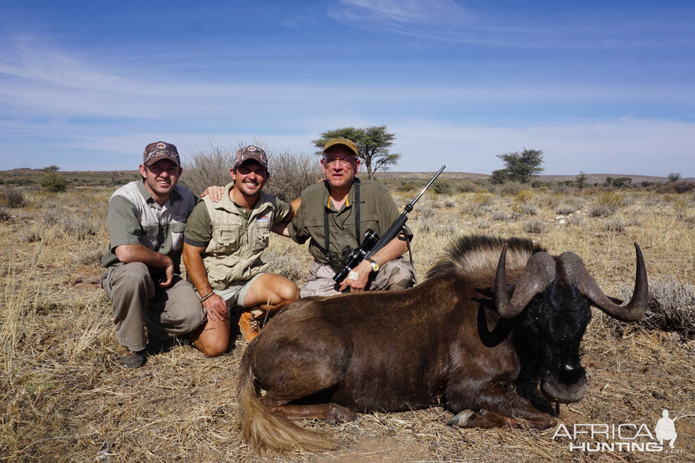 Black Wildebeest Hunt Namibia