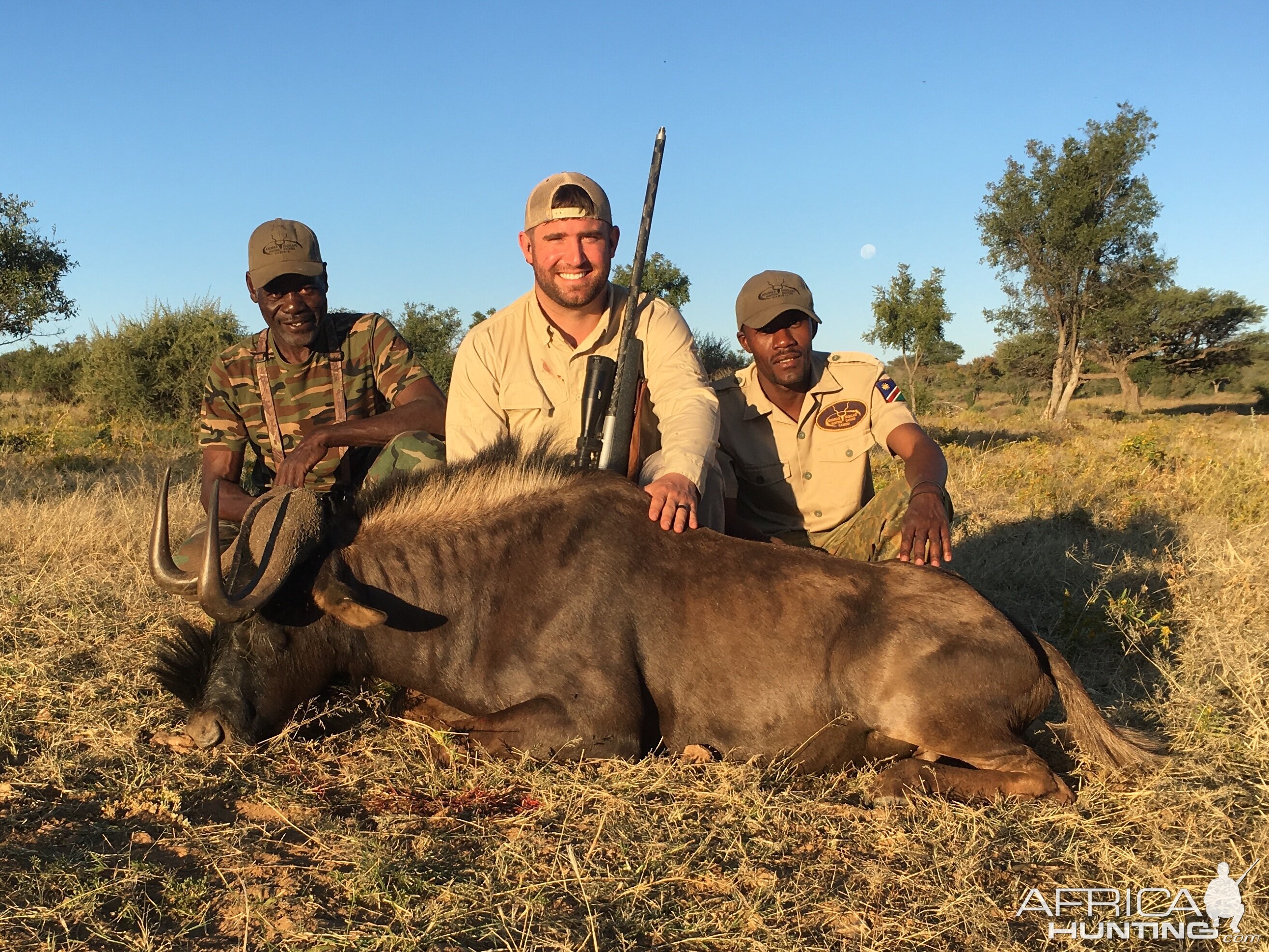 Black Wildebeest Hunt Namibia