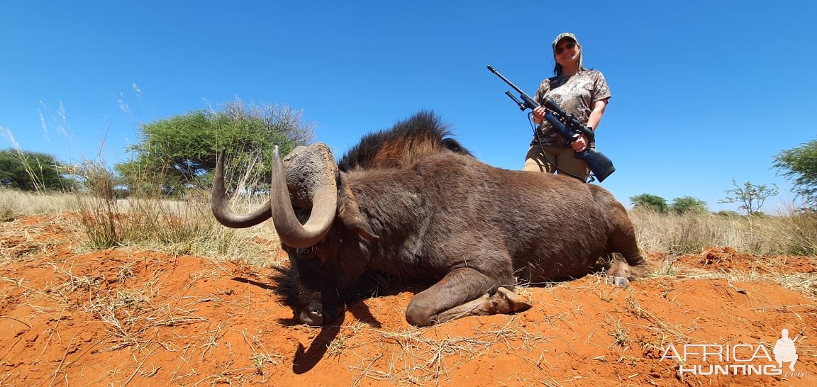 Black Wildebeest Hunt Northern Cape South Africa