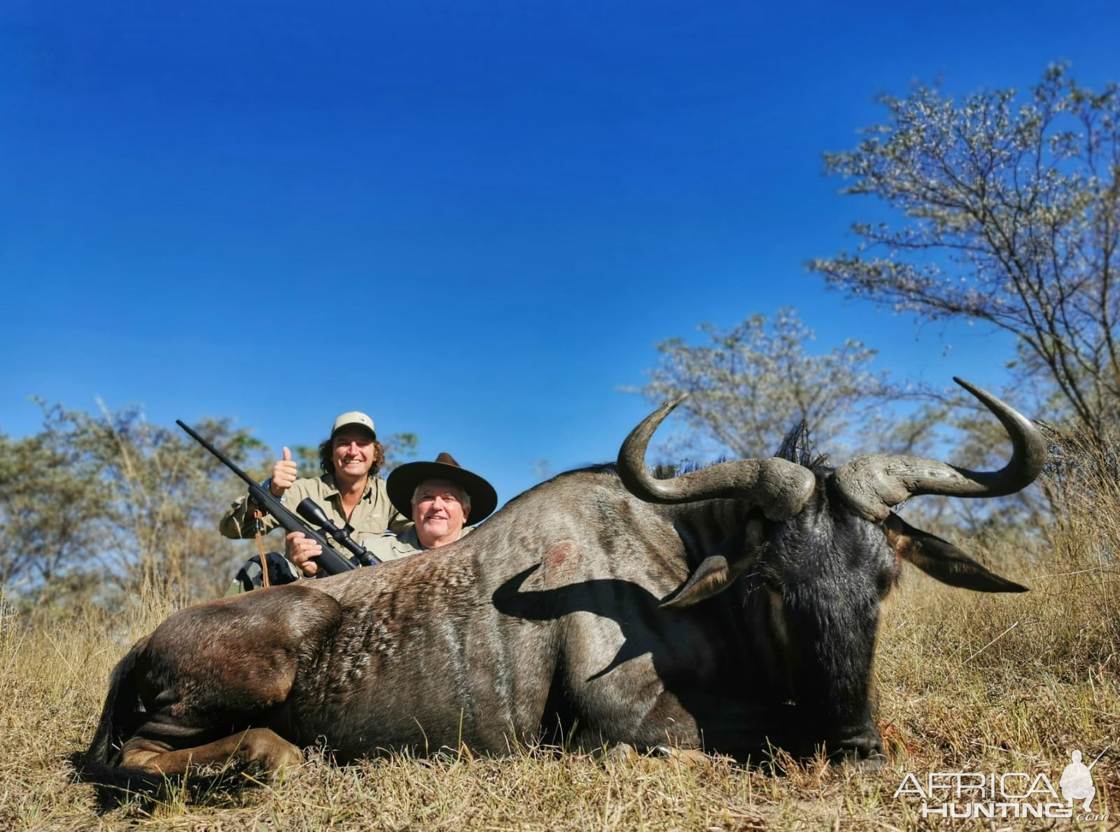 Black Wildebeest Hunt South Africa