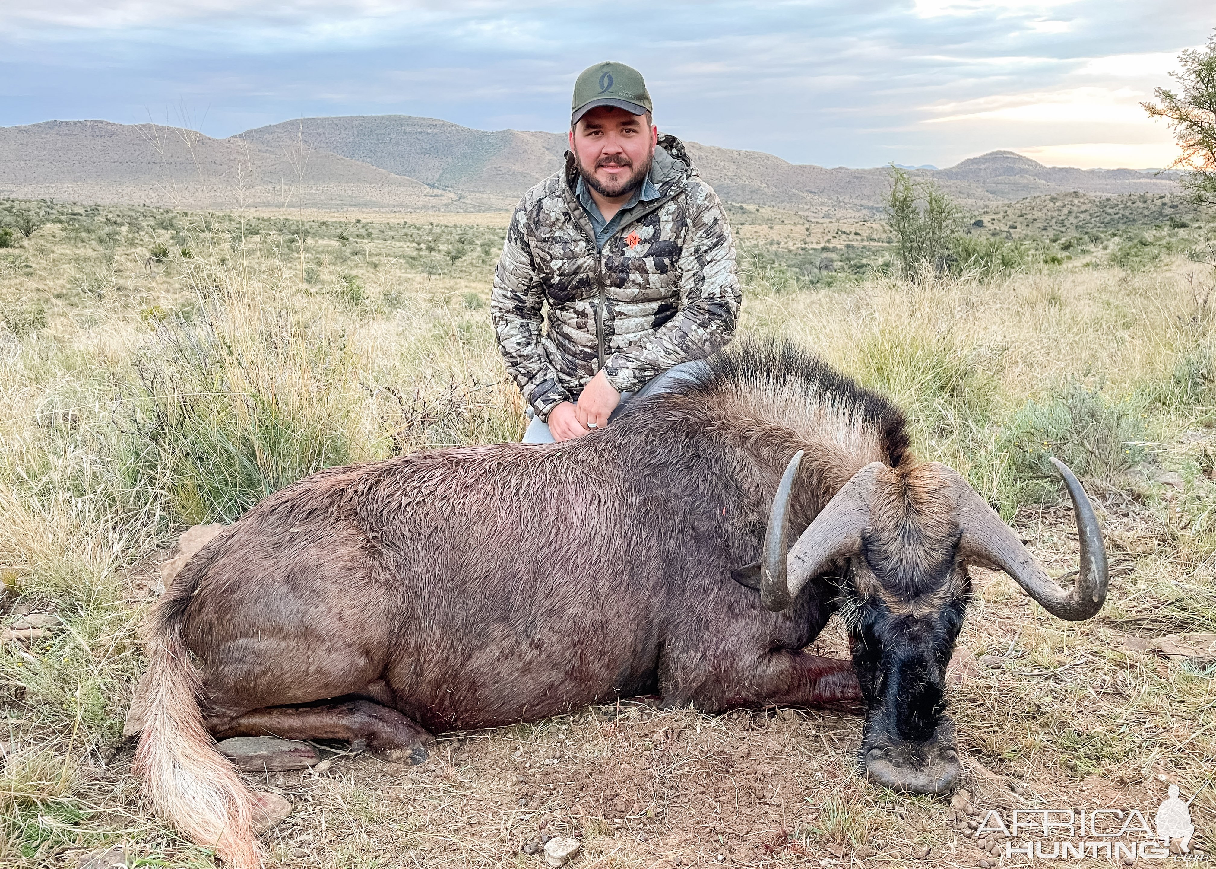 Black Wildebeest Hunt South Africa