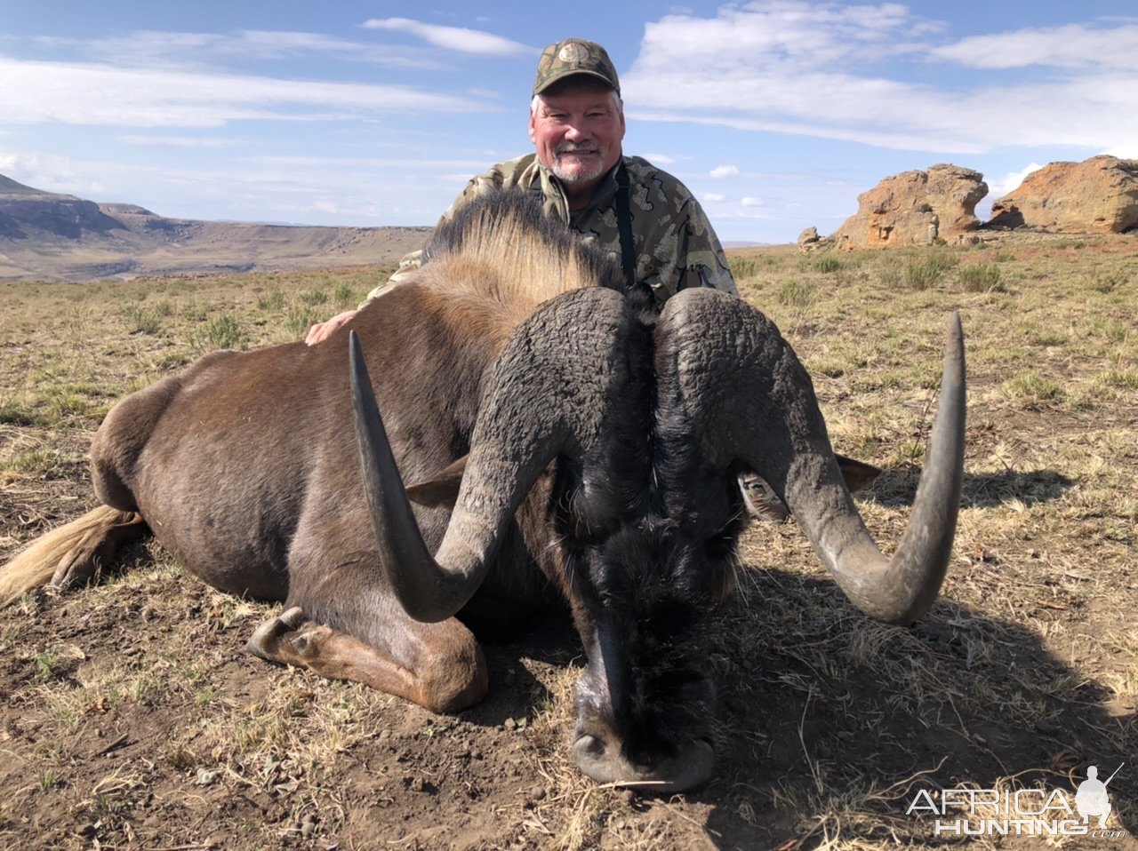 Black Wildebeest Hunt South Africa