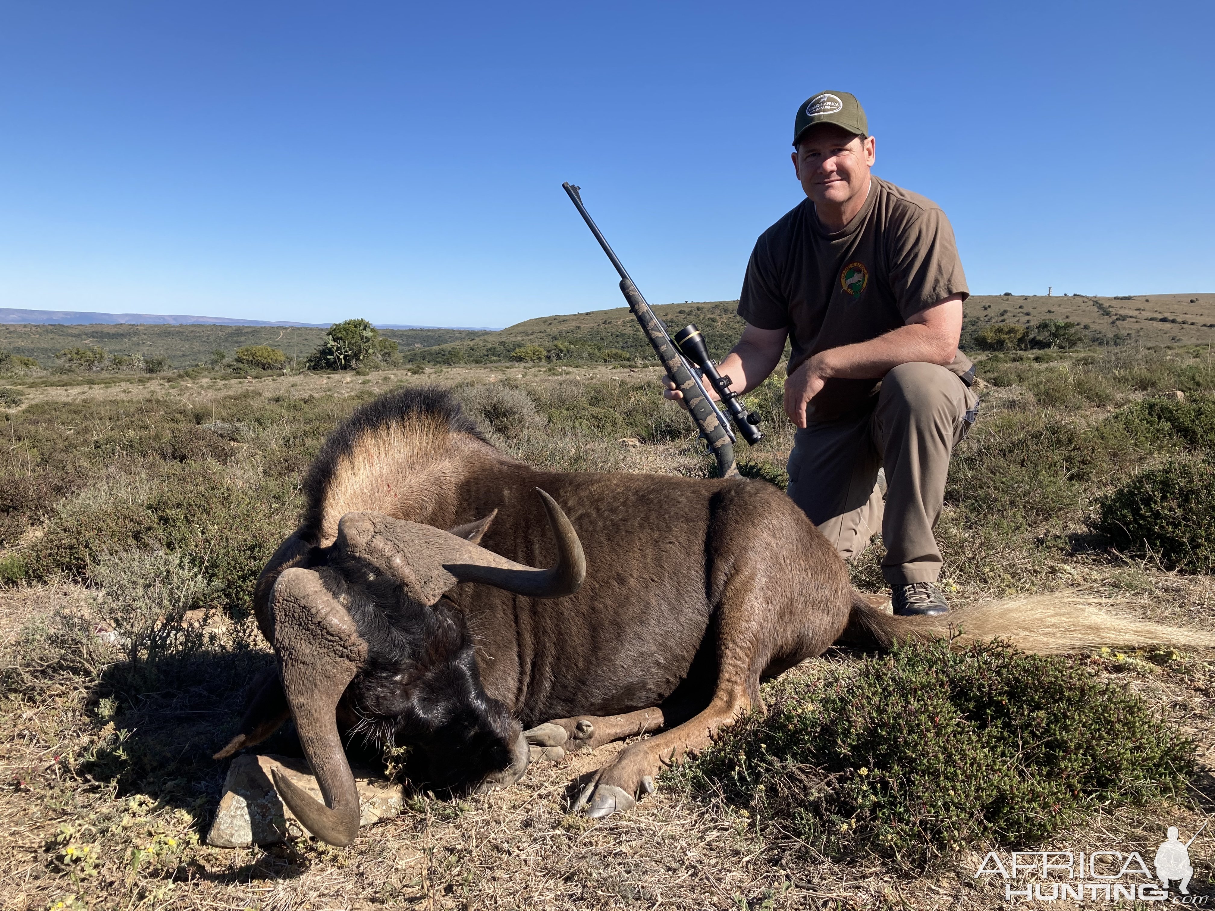 Black Wildebeest Hunt South Africa