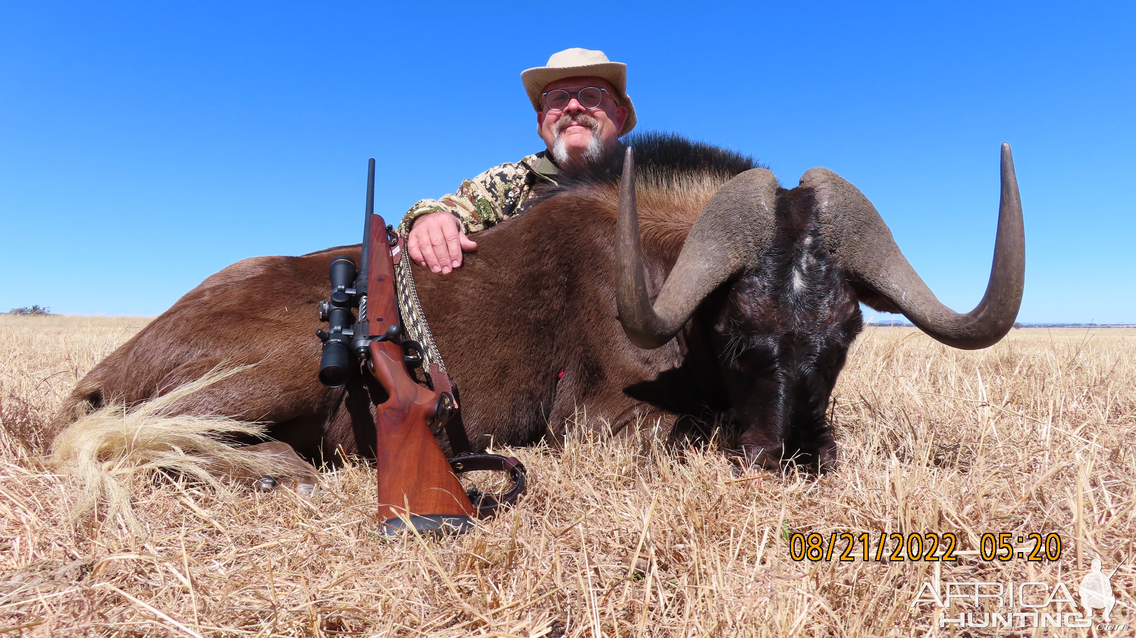 Black Wildebeest Hunt South Africa