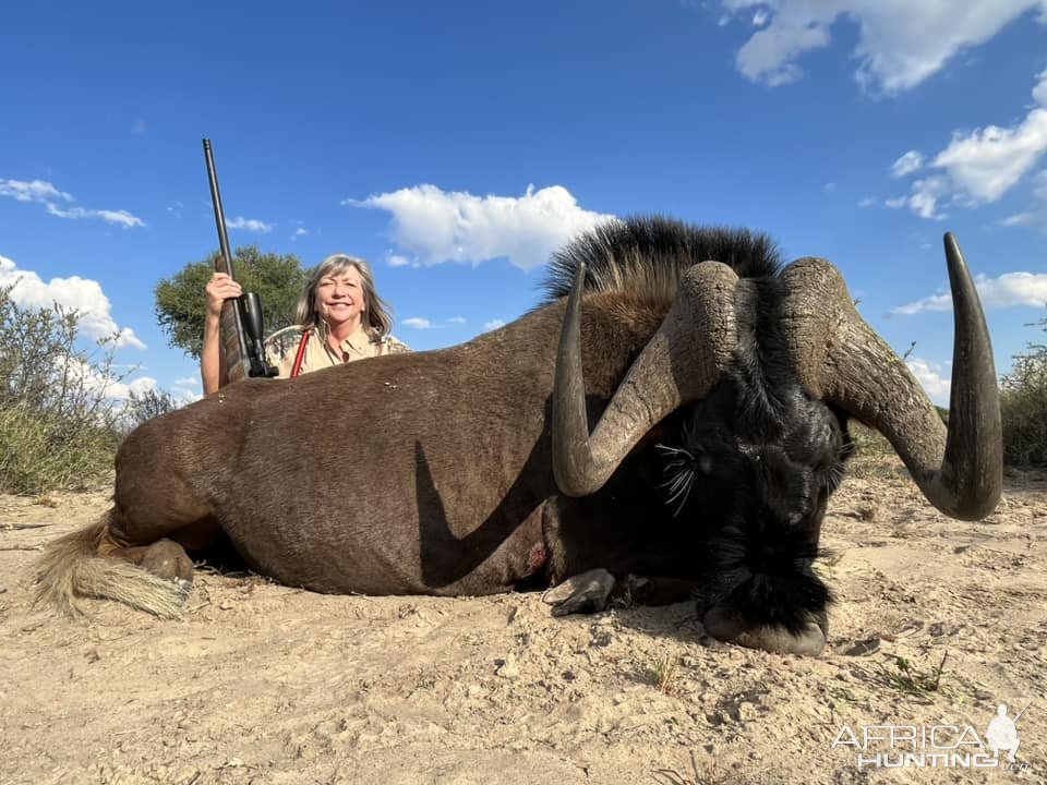 Black Wildebeest Hunt South Africa