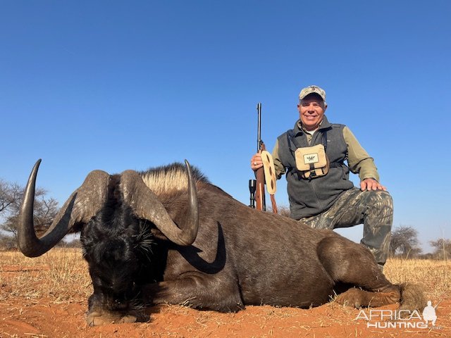 Black Wildebeest Hunt South Africa