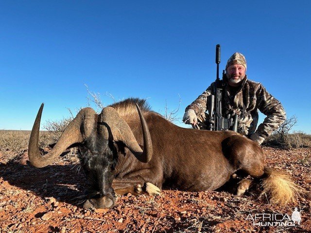 Black Wildebeest Hunt South Africa