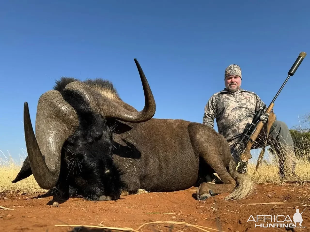 Black Wildebeest Hunt South Africa